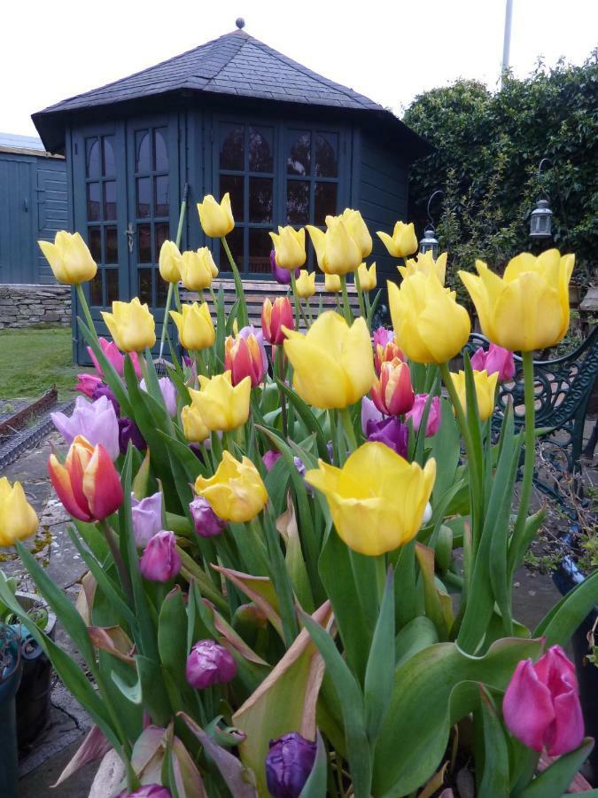 Park House Bed and Breakfast Carnoustie Exteriör bild